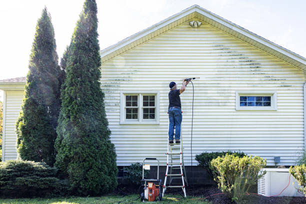 Best Building Exterior Pressure Washing in Energy, IL
